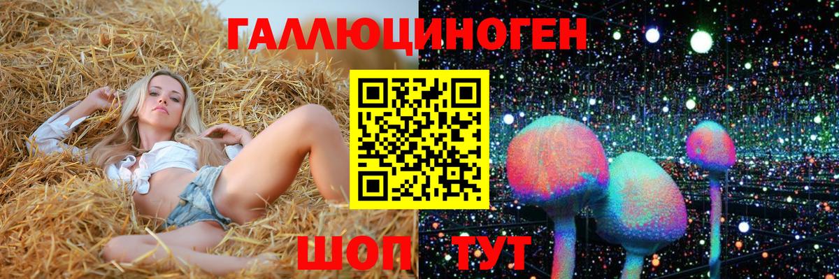 закладки  Галлюциногенные грибы MAGIC MUSHROOMS  Вход с VPN  Красноармейск 