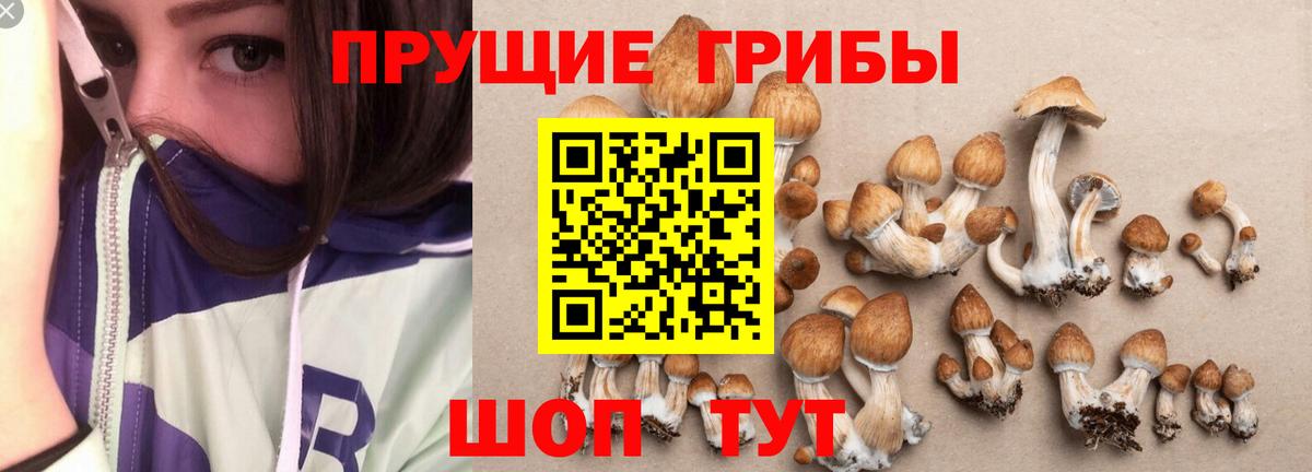 Псилоцибиновые грибы прущие грибы Красноармейск