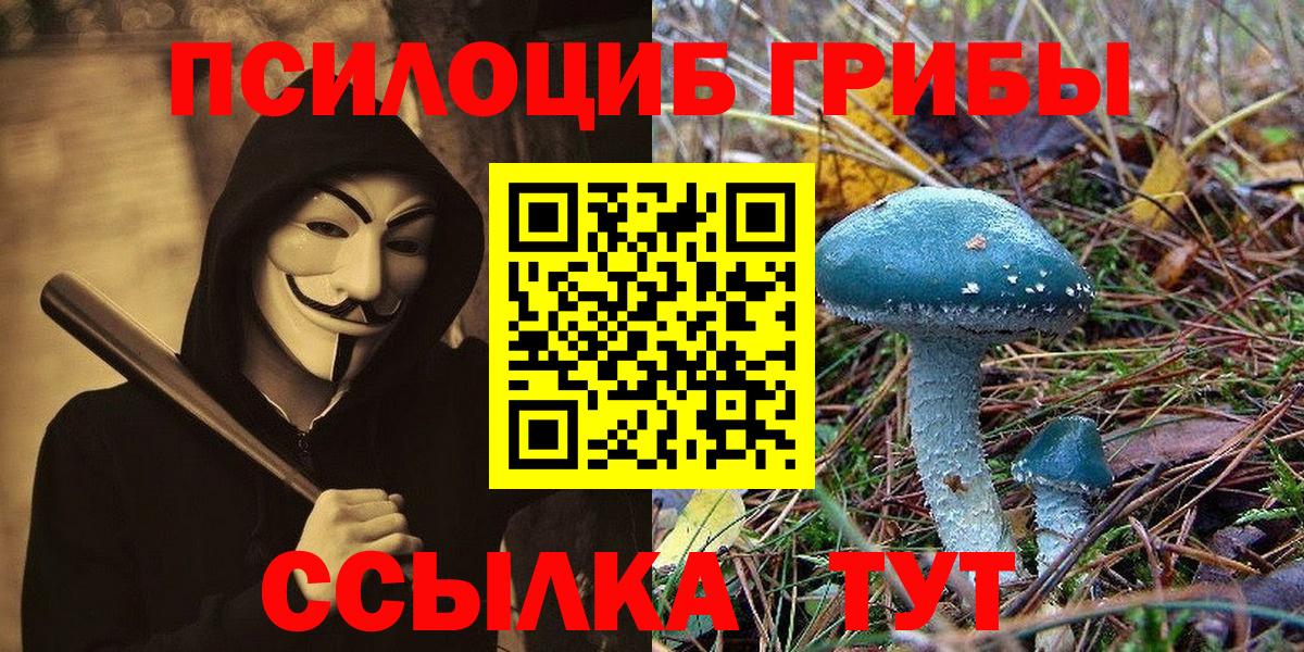 Псилоцибиновые грибы Красноармейск